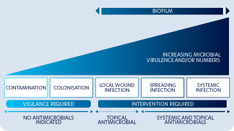 Stages in the wound infection continuum