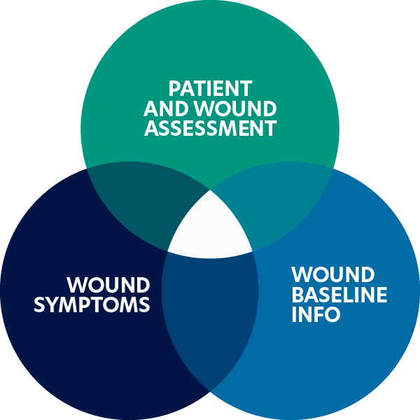 wound-assessment-activheal-academy